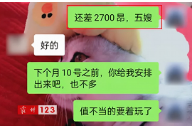 盐城融资清欠服务